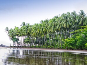 On the beach, beach towels - Coconut Grove Oceanfront Cottages Playa Domincalito (Dominical)