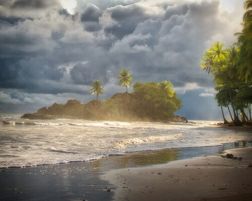 Coconut Grove Oceanfront Cottages Playa Domincalito