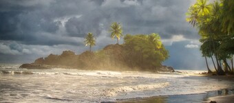 Coconut Grove Oceanfront Cottages Playa Domincalito