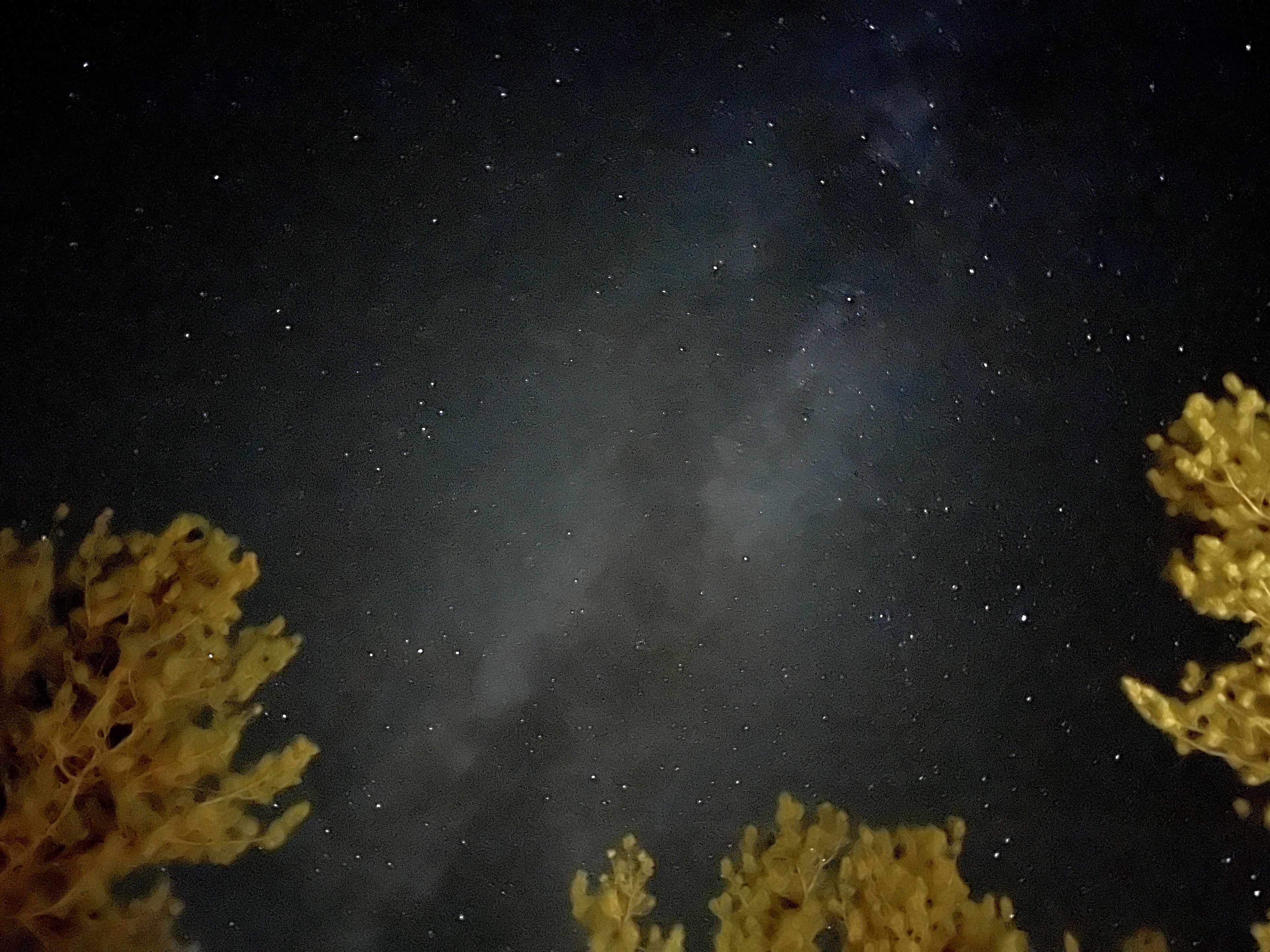 A night sky with stars and a faint Milky Way.