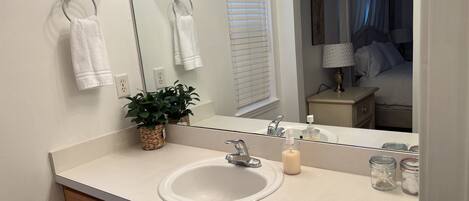 A bathroom with a white sink, a mirror, a potted plant, and a window with blinds.