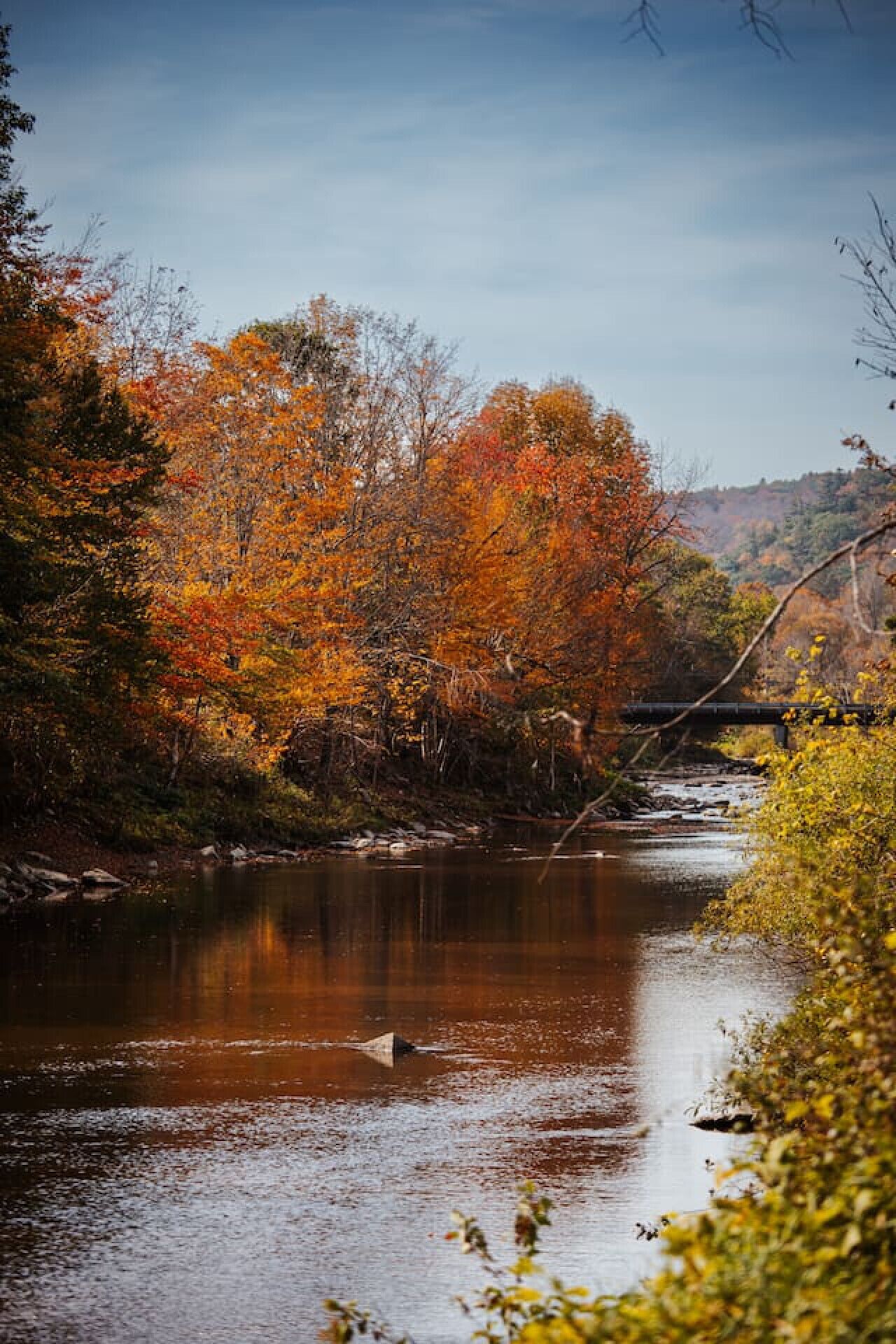 Une rivière bordée d’arbres aux couleurs automnales, un pont et une colline boisée.