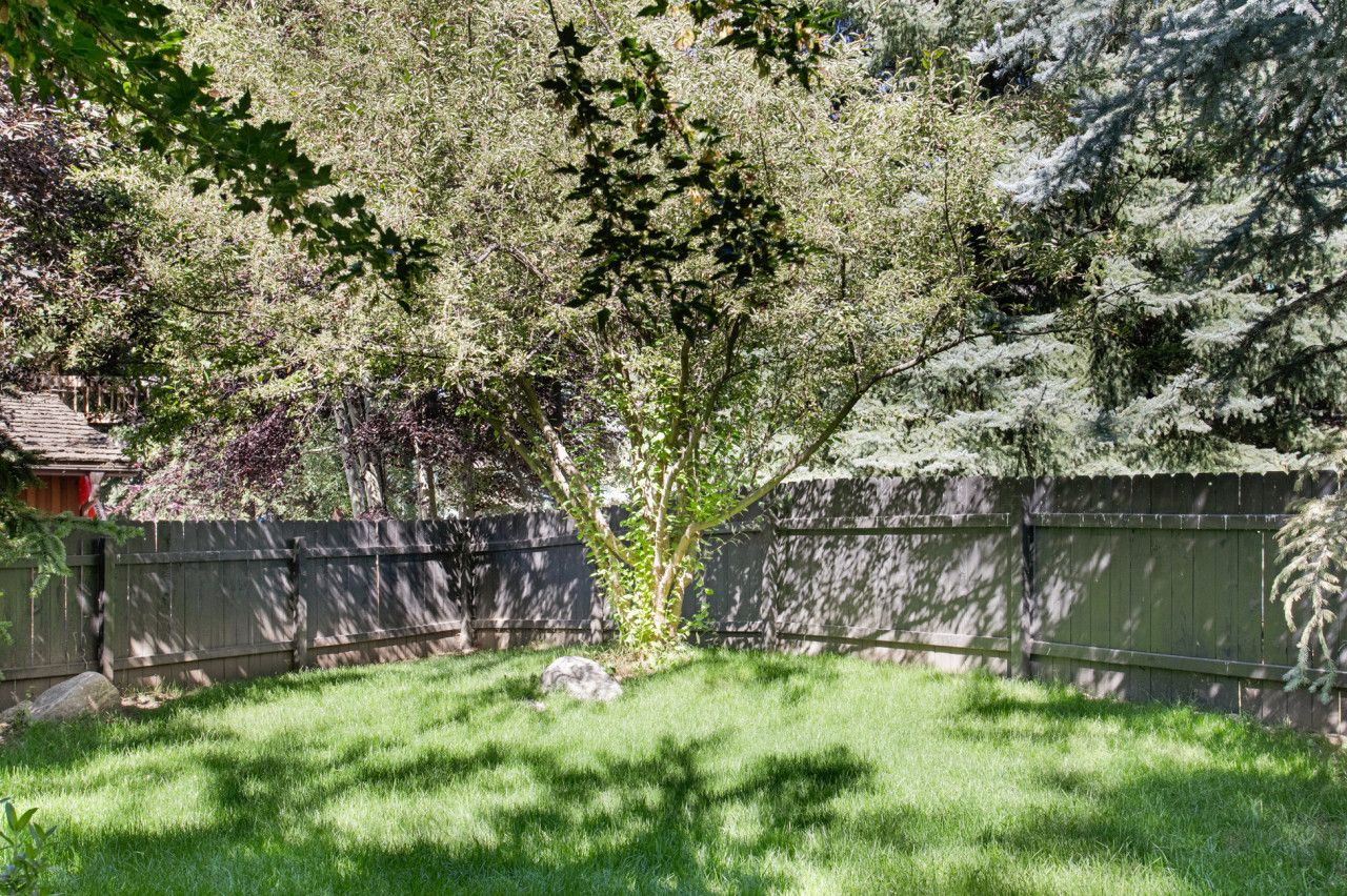Un patio trasero con un árbol, una cerca de madera y un césped.