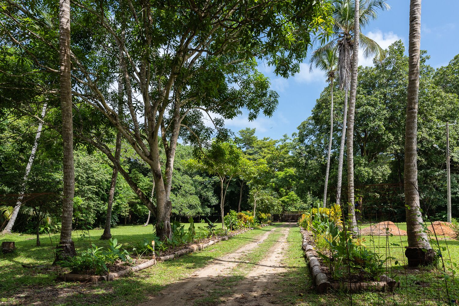 Jardines del alojamiento