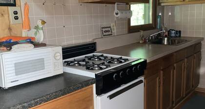 Mountainous Offgrid Cabin 40acres - Renovo