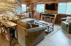 Tv, pejs, dvd-afspiller, bordfodbold