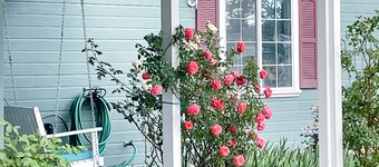 Lake Room at Bed & Breakfast