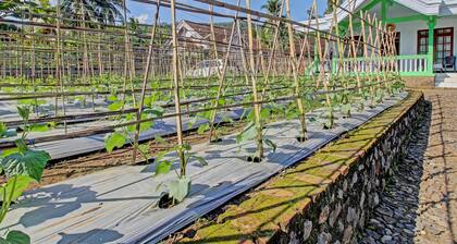 Spot ON 91214 Desa Wisata Pandean