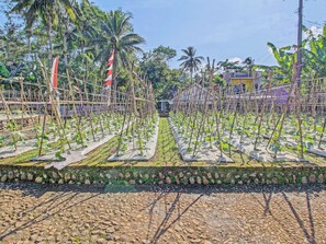 Un jardin avec des plantes disposées selon un plan bien défini, un mur de pierre et un bâtiment en arrière-plan.