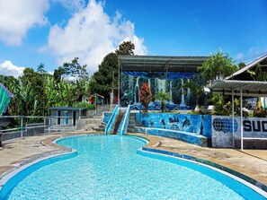 Une piscine agrémentée d’une fresque murale, d’un toboggan et d’un espace couvert offrant une vue sur une cascade.