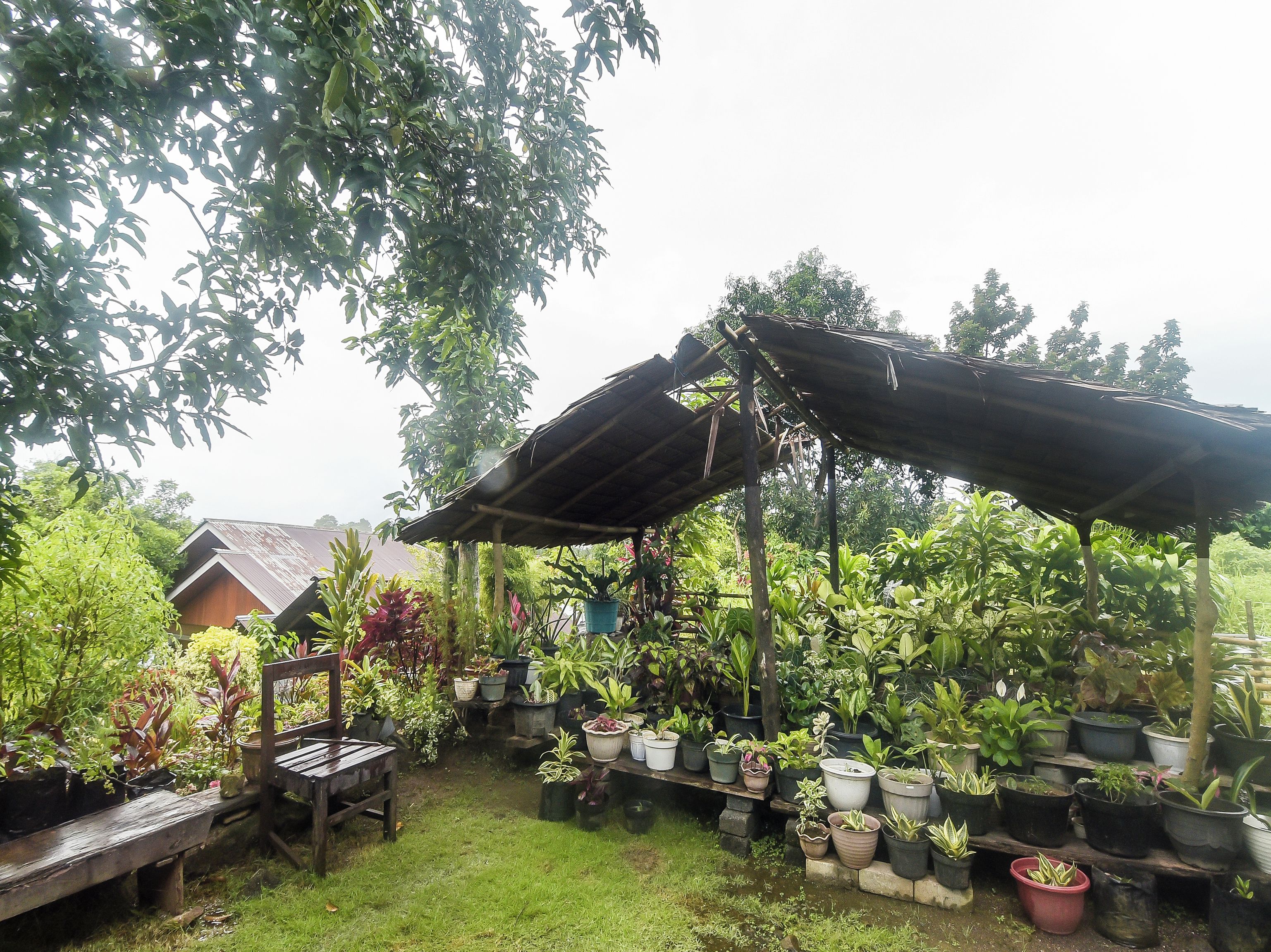 A garden with a variety of potted plants and a wooden bench.