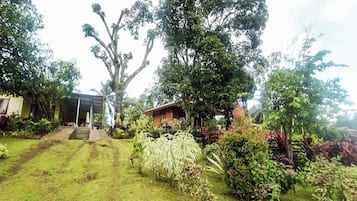 Un jardín con un sendero que conduce a una estructura de madera, rodeado de plantas y árboles.