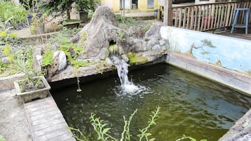 Pemandangan dari properti