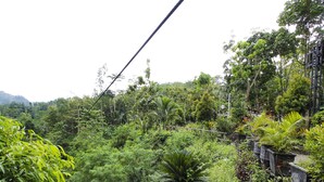 A lush garden with various plants and trees, a stone pathway, and a metal structure. - OYO Homes 91134 Desa Wisata Tebing Lingga (Nglebo)