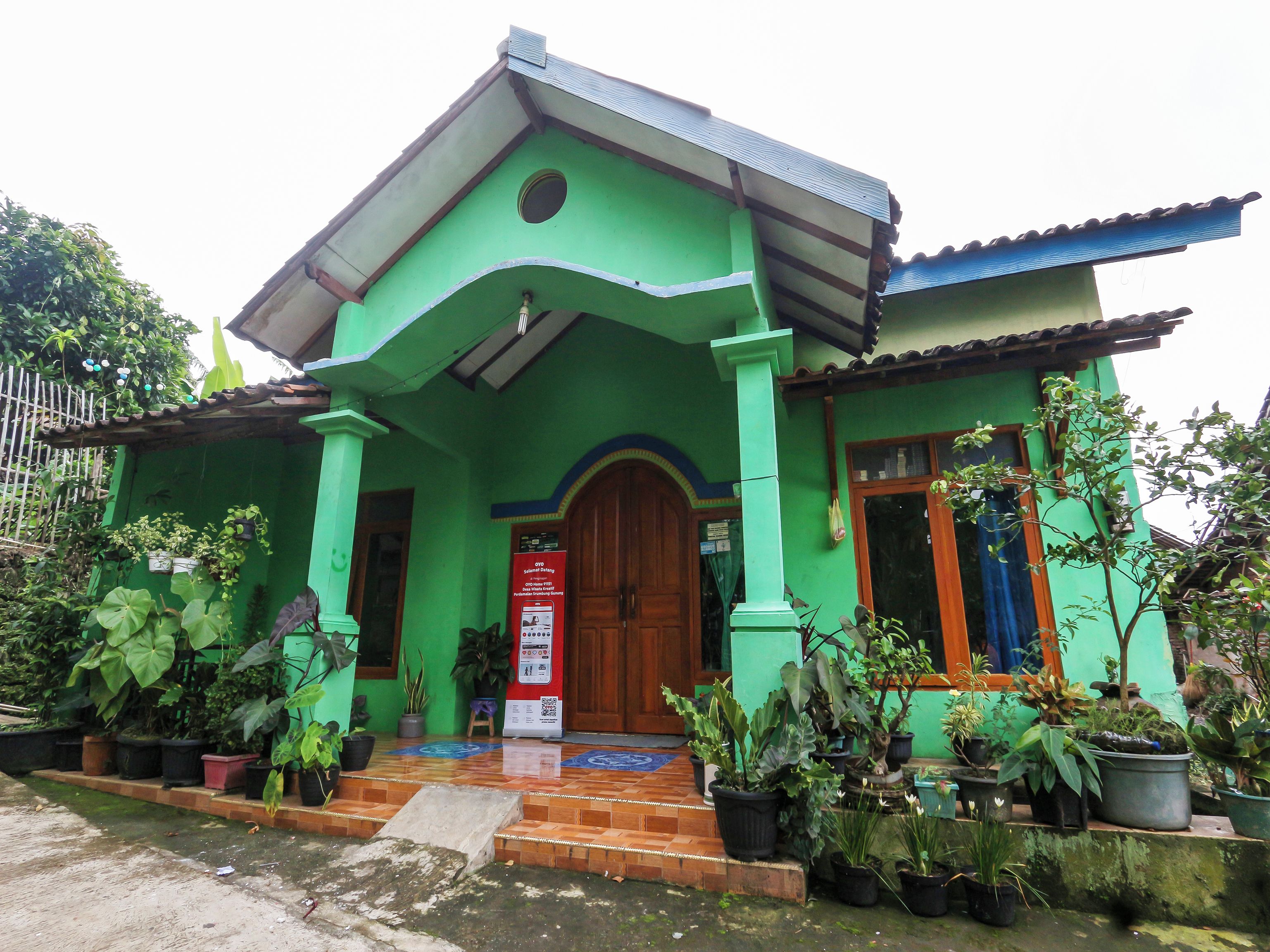 A green building with a wooden door, potted plants, and a tiled entrance.