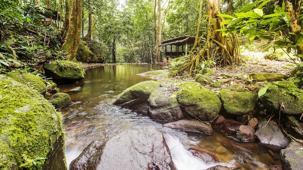 A forested area with a small wooden structure near a stream. - OYO 91089 Desa Wisata Air Terjun Way Kalam Syariah (Kalianda)