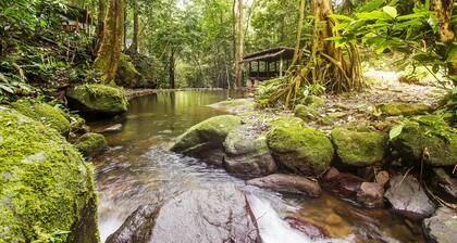 OYO 91089 Desa Wisata Air Terjun Way Kalam Syariah