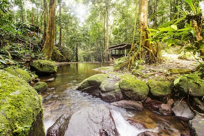 OYO 91089 Desa Wisata Air Terjun Way Kalam Syariah