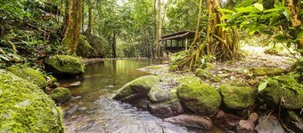 OYO 91089 Desa Wisata Air Terjun Way Kalam Syariah