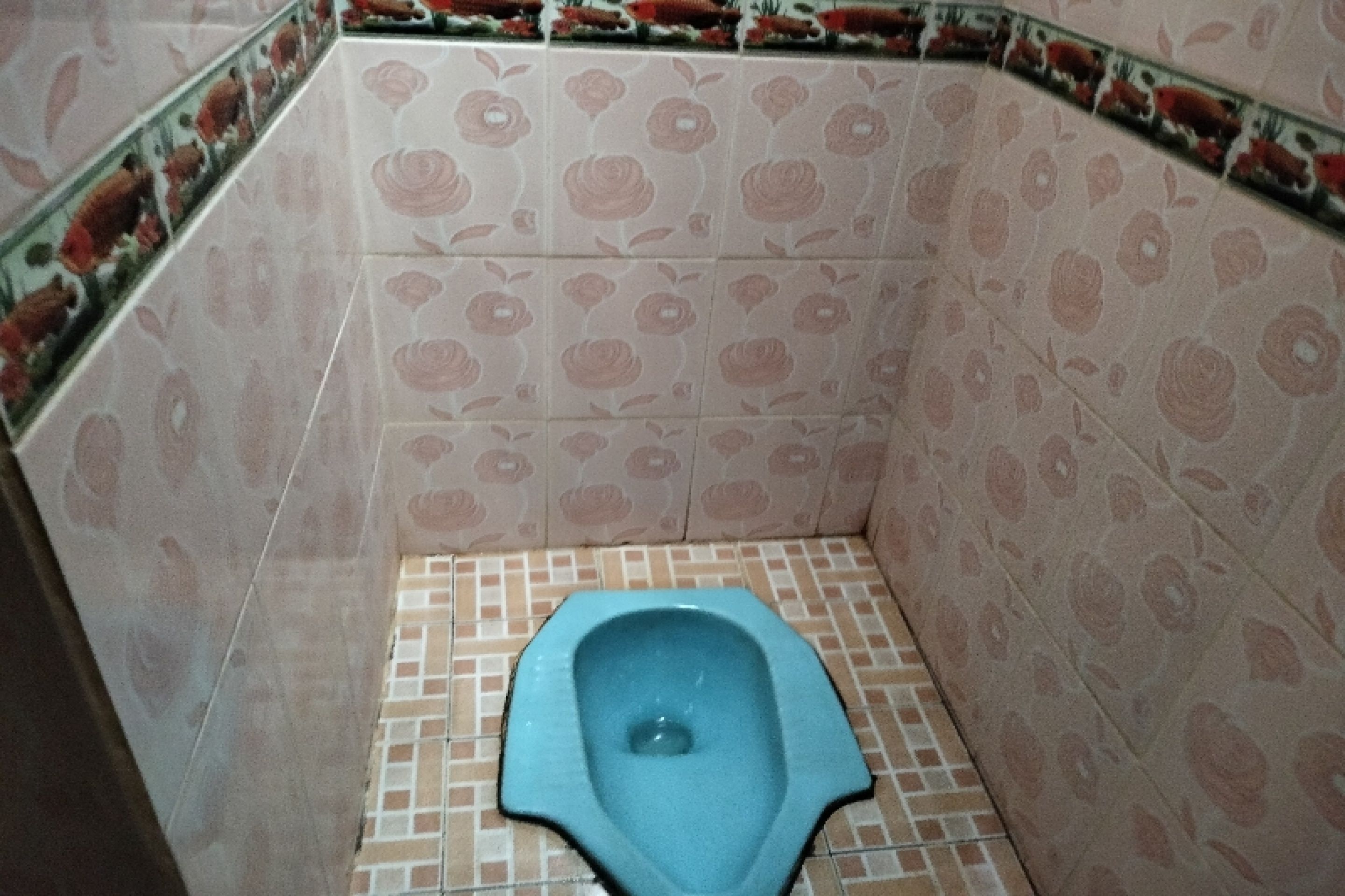 A bathroom with a blue squat toilet, patterned tiles, and a corner design.