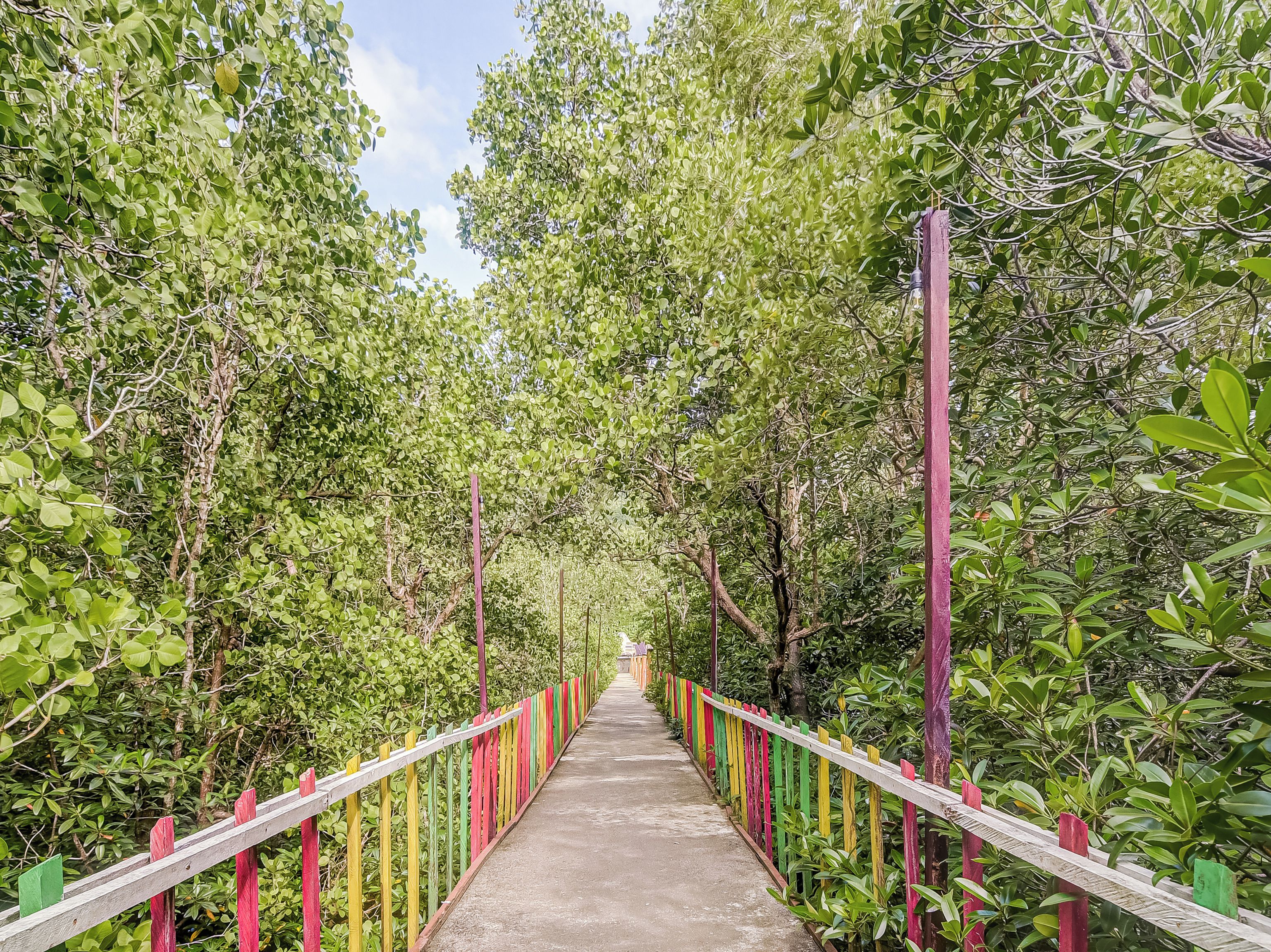 A pathway flanked by lush greenery and a colorful fence.