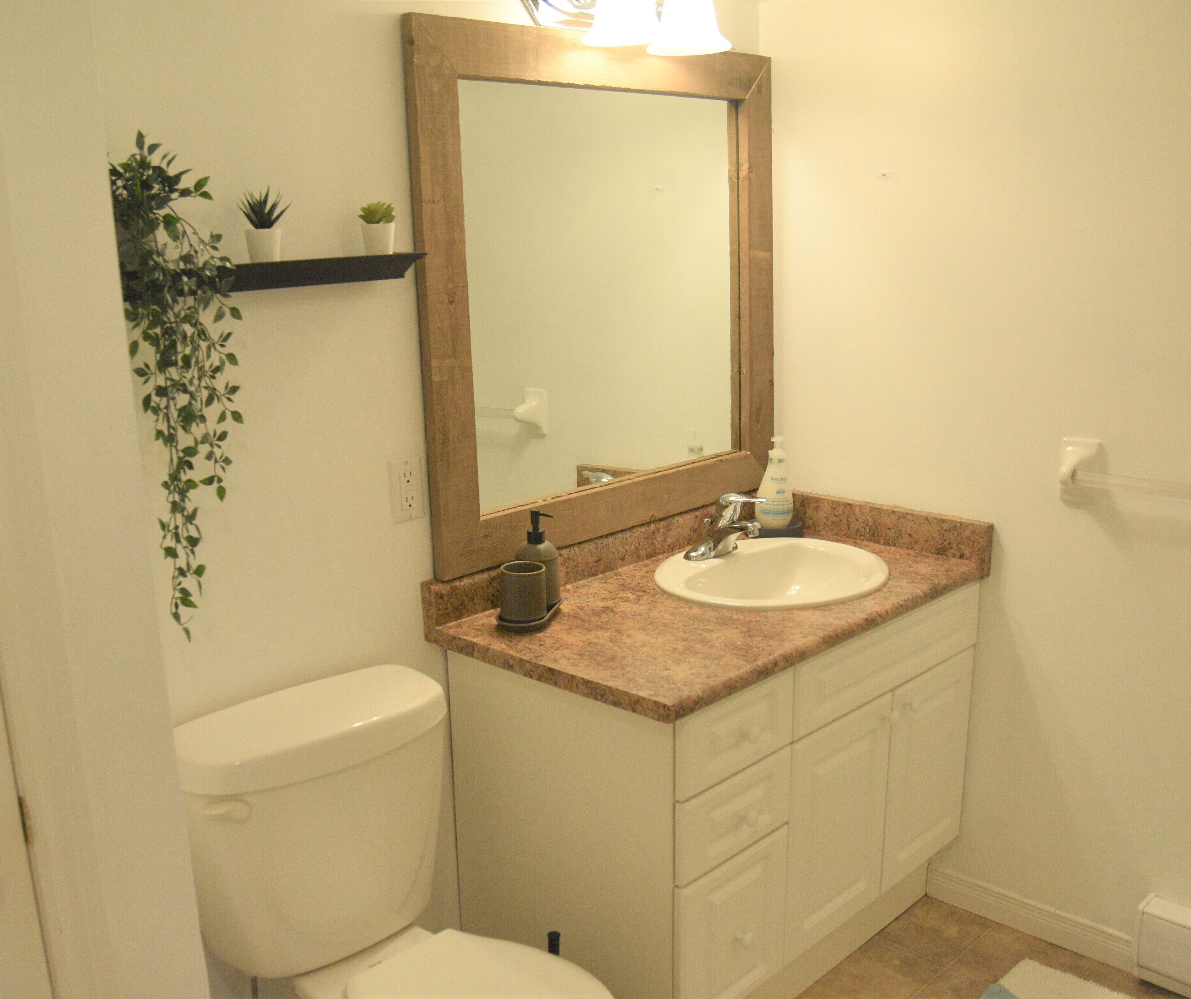 Un baño con inodoro blanco, lavabo con encimera de mármol, espejo con marco de madera y una pequeña planta en maceta sobre una estantería.