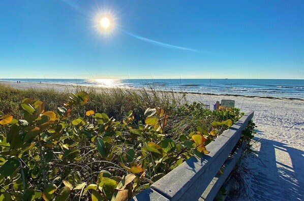A beach with a wooden fence, clear sky, and sunlight reflecting on the water.