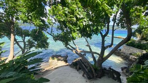Una playa arenosa con agua azul cristalina, rodeada de vegetación exuberante y árboles.