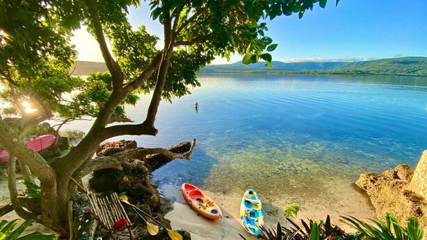Una escena tranquila junto al lago con kayaks y una tabla de remo, rodeada de vegetación exuberante y una vista despejada del agua.