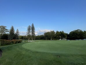 高尔夫