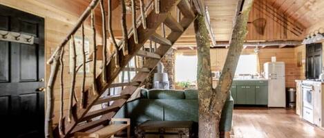 Télévision, livres