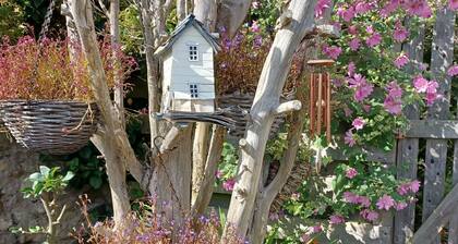 Beachhaven116, Lovely beachside house, Lower Largo