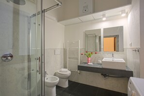 Shower, hair dryer, towels