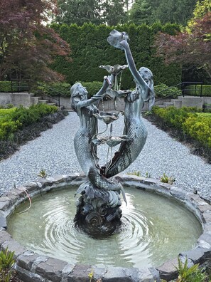 Terrain de l’hébergement 