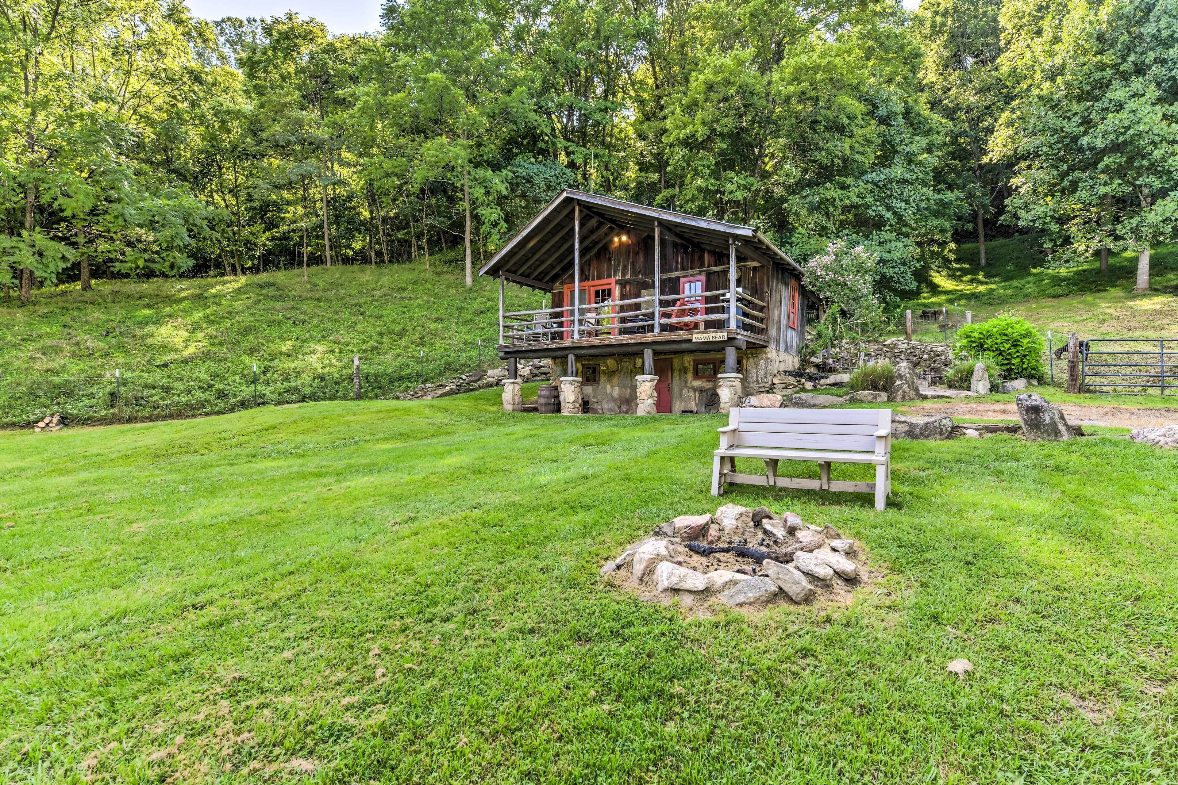 Cozy ‘Mama Bear’ Cabin w/ Mountain Views!