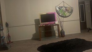 A room with a television on a stand, a decorative hanging, and a black furry rug on the floor. - BK to JAX CITY GIRL —-> COUNTRY GIRL (Jacksonville)