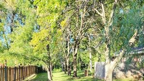 A well-maintained grassy yard with trees and a wooden fence.