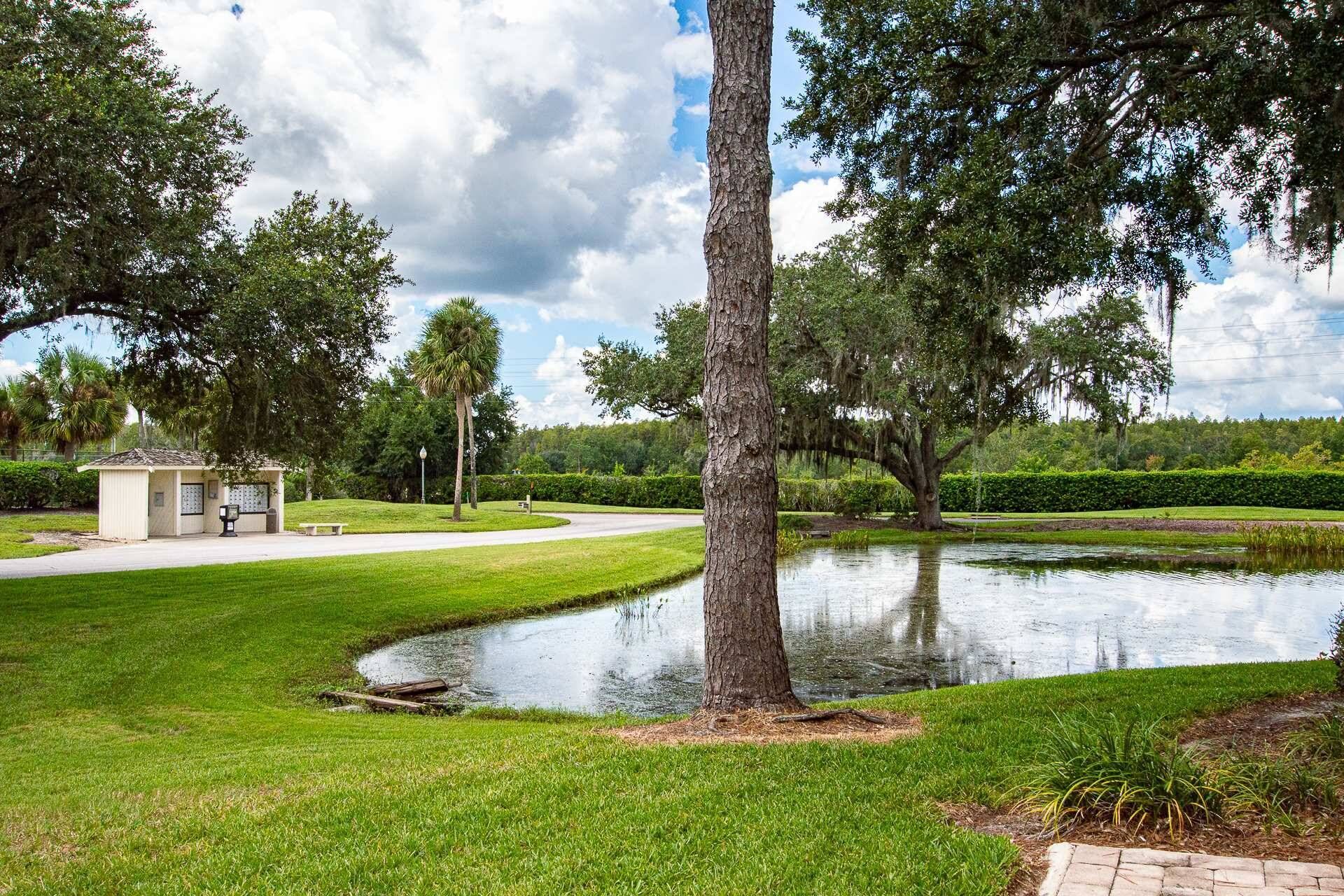 Wesley Chapel Condo