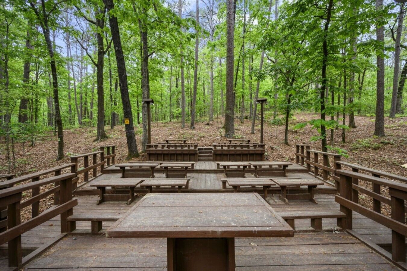 A forested picnic area with wooden benches and picnic tables.
