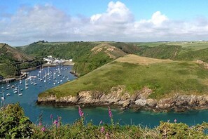 Beach - Beautiful 3-bed Cabin in Pembrokeshire Coast (Haverfordwest)