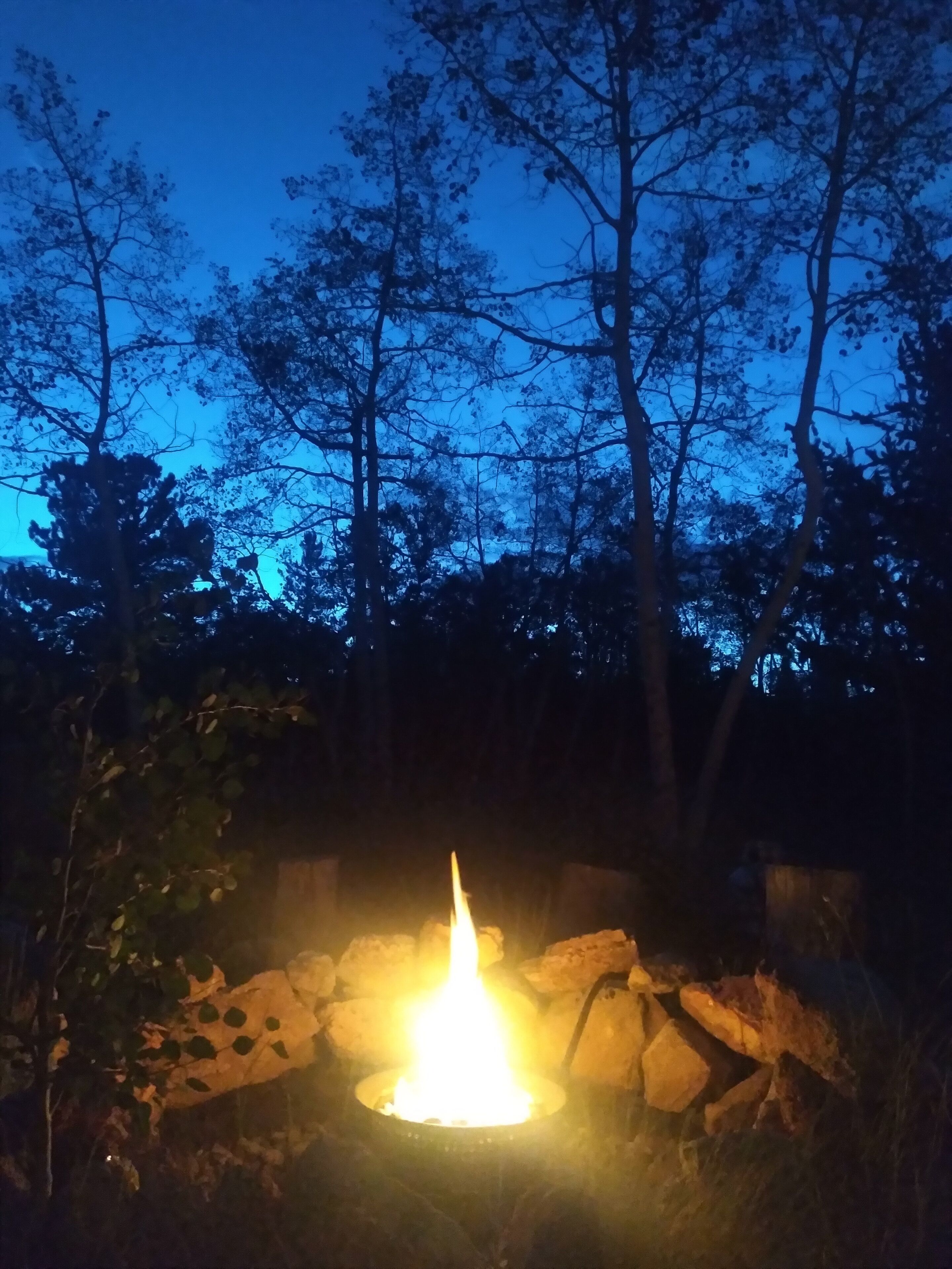 Una fogata en un bosque al anochecer.