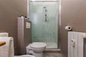Shower, hair dryer, bidet, towels