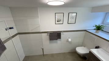 Shower, towels, soap, toilet paper