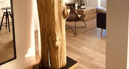 Exklusive Wohnung im Herzen der Schaffhauser Altstadt