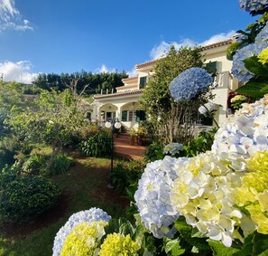 Una vila amb jardí, un camí que condueix a l'entrada i un cel blau clar.