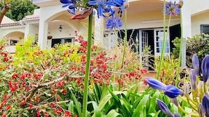 Un jardín con flores azules y bayas rojas frente a un edificio blanco con tejado de baldosas.