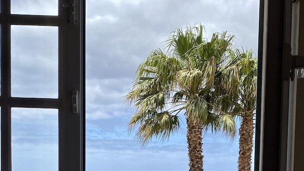 Un balcón con vistas al mar y palmeras.