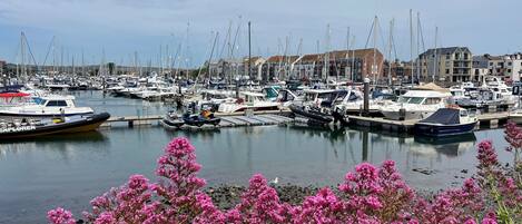 A marina with various boats docked, surrounded by buildings and blooming pink flowers in the foreground.