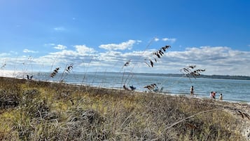 Playa en los alrededores