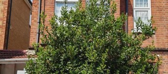 SnoozeDen Wellesley – Near to Slough Station